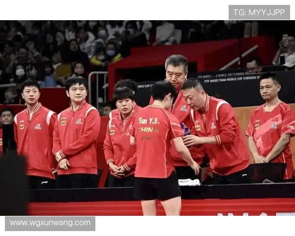 北京乒乓球队选拔赛精彩点评团队配合与个人技术的完美结合