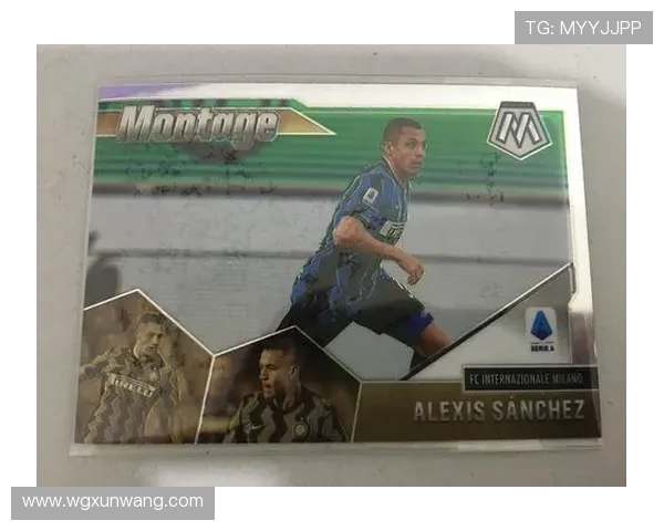 全面探索足球明星的智能搜索应用程序助你一键找到所有球星信息