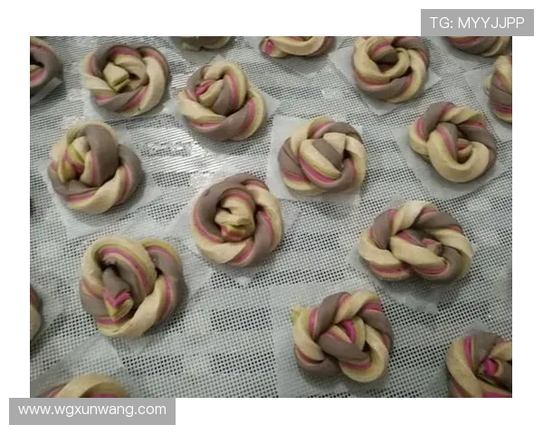 狼树叶足球明星的成长之路与心路历程分享