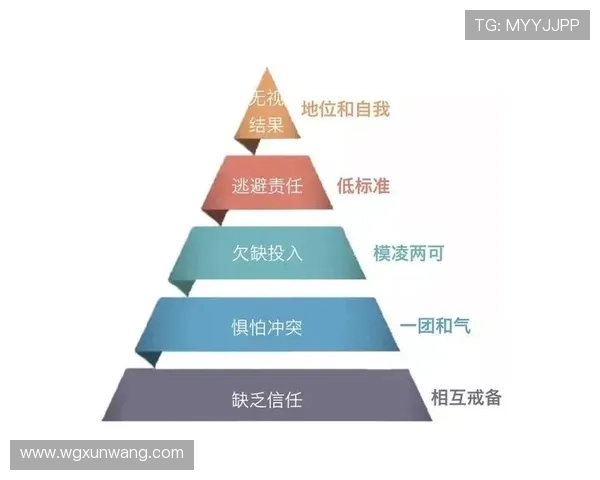 成都篮球队运营体系探析：篮球战术与团队协作的完美结合